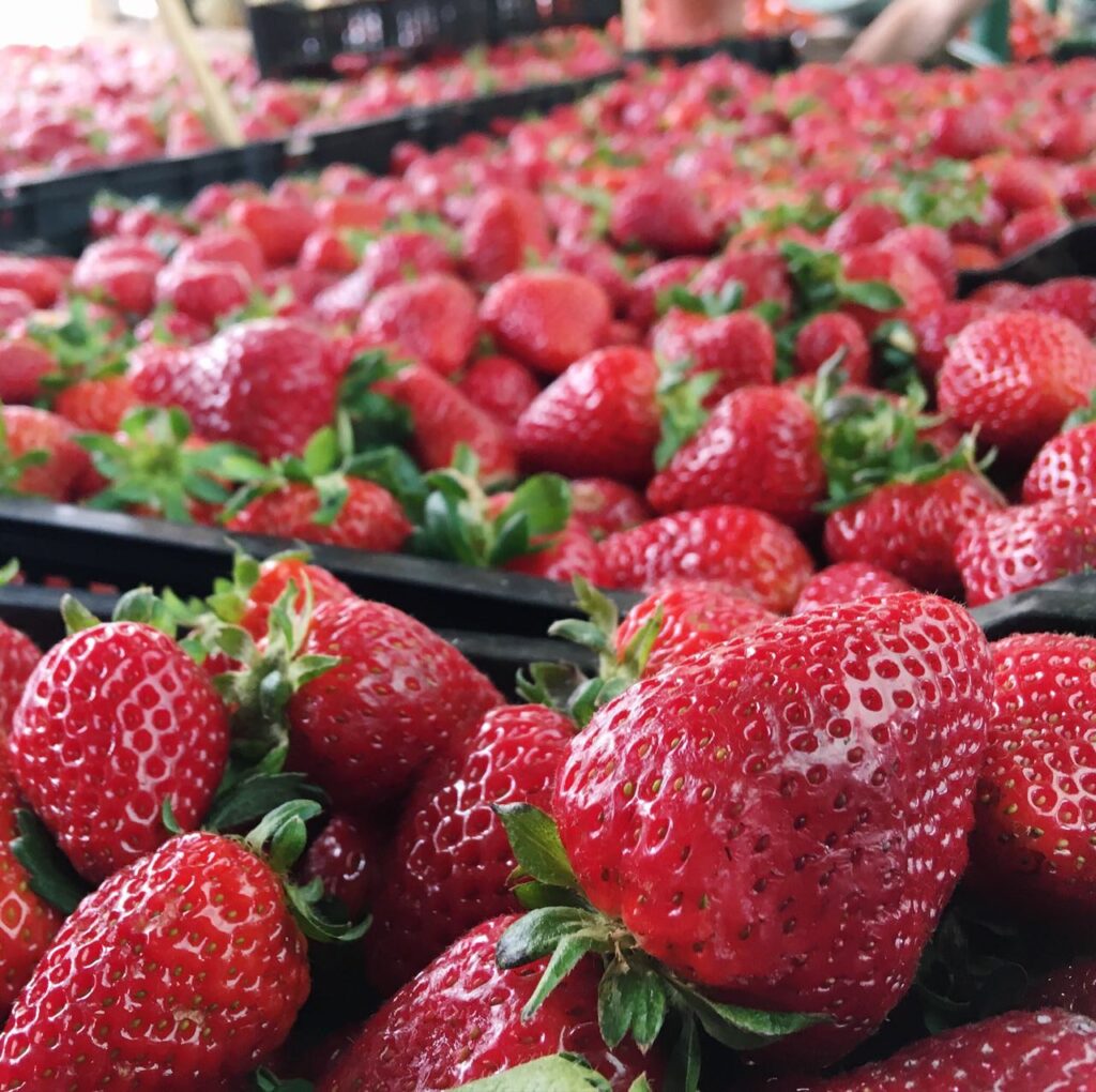 Strawberries Caja de frutillas