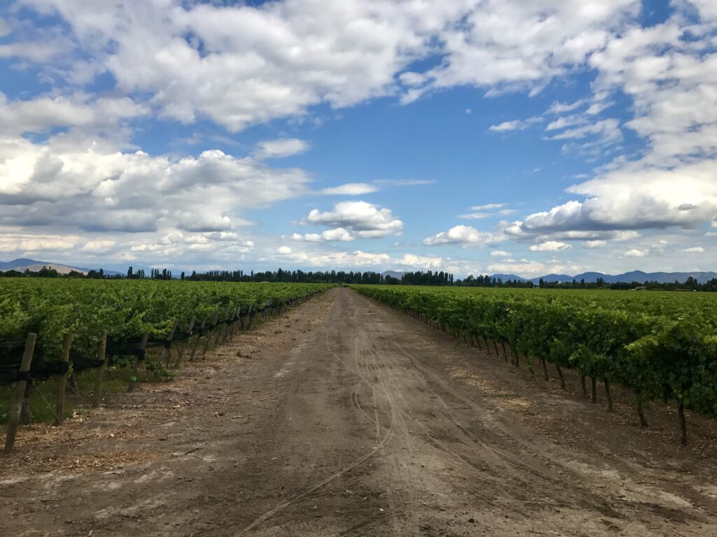 Colchagua Winery