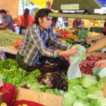 Chilean Feria Farmers Market