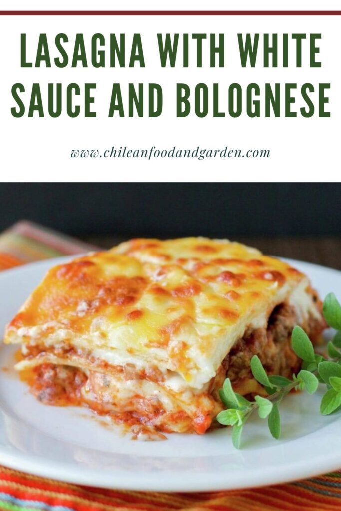 Pin for Lasagna with White Sauce and Bolognese