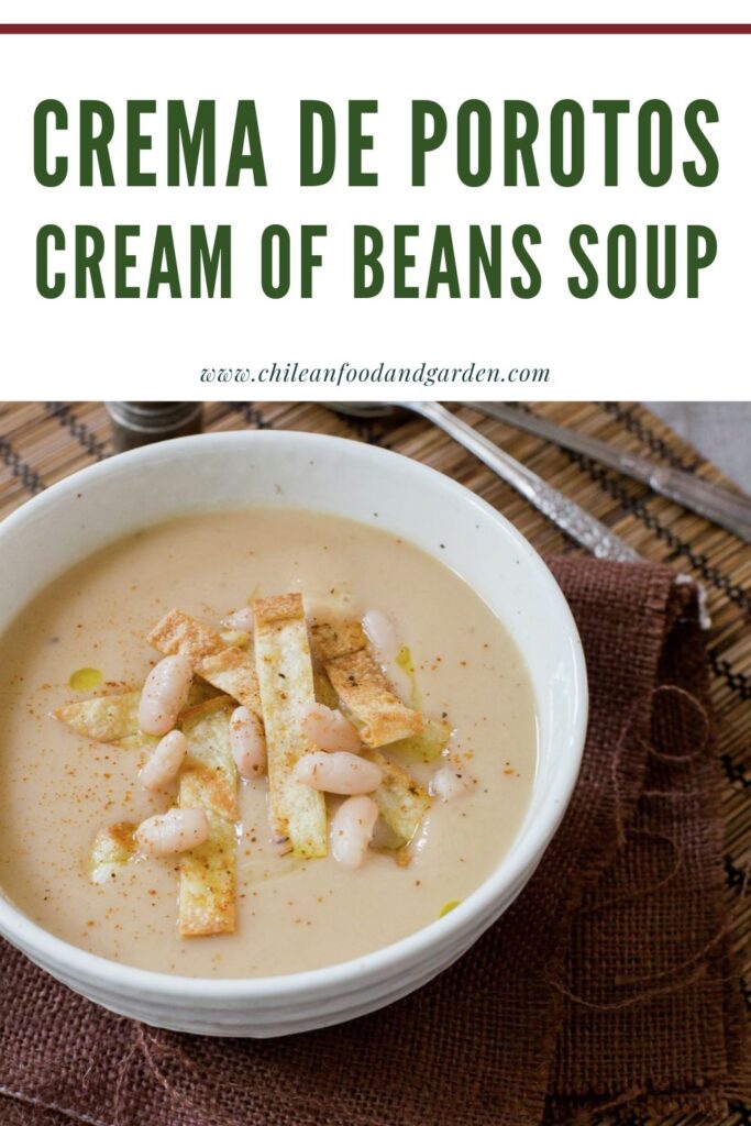 Pin for crema de porotos
Cream of Beans Soup