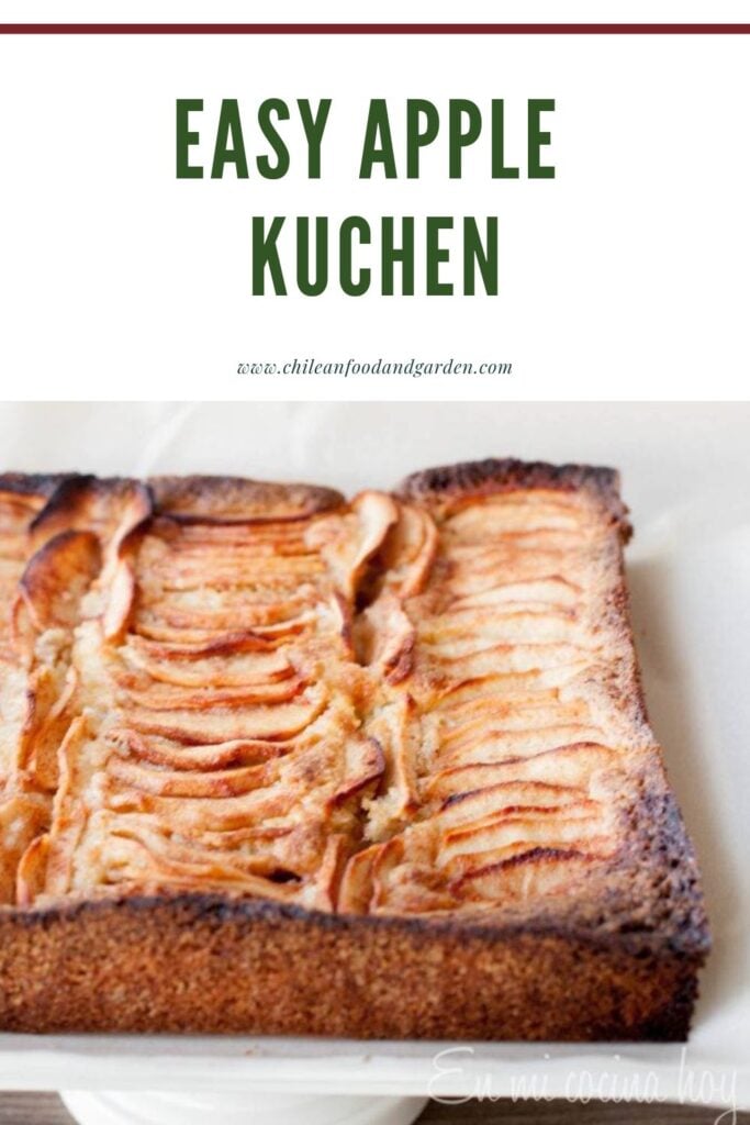 Pin for Easy Apple Kuchen