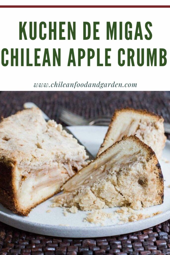 Pin for Kuchen de migas Apple Crumb kuchen