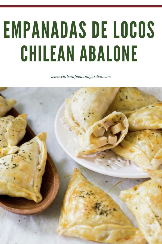 Pin for Empanadas de locos Chilean Abalone