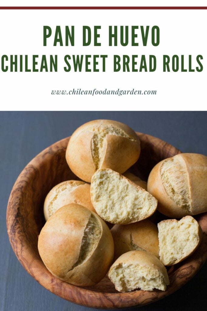 Pin for Pan de Huevo or Chilean sweet bread rolls