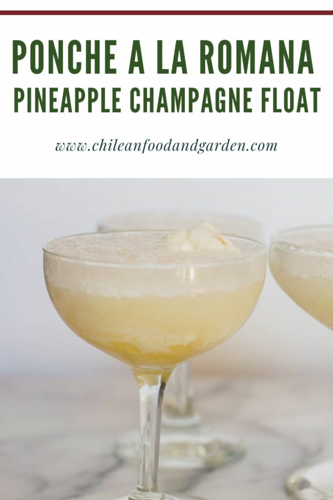 Ponche a la romana.
Chilean Pineapple Champagne Float
