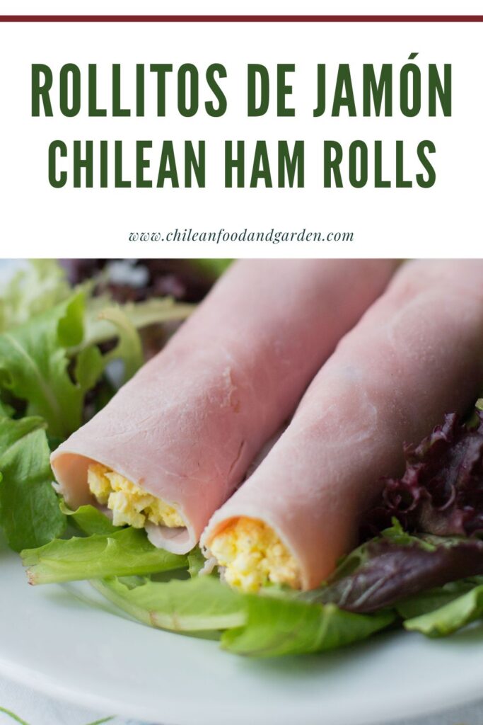 Rollitos de Jamón Chilean Ham rolls