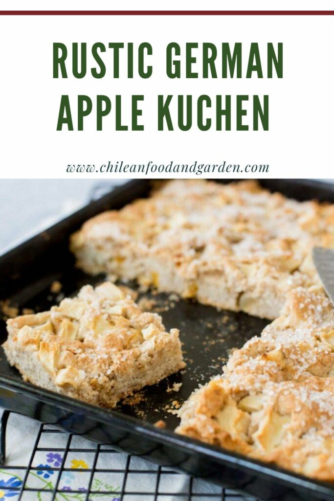 Pin for rustic German apple kuchen