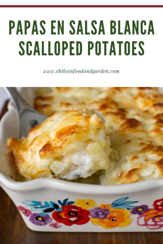 PIn for Papas en Salsa Blanca Scalloped Potatoes