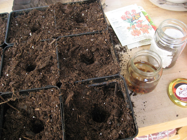 Pots for seedlings.