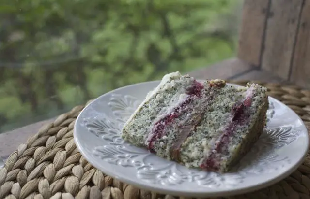 A piece of poppy seed layer cake.