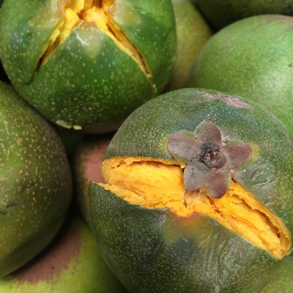 Lucuma fruit