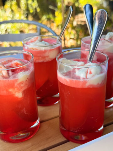 4 glasses of Chilean cocktail Terremoto