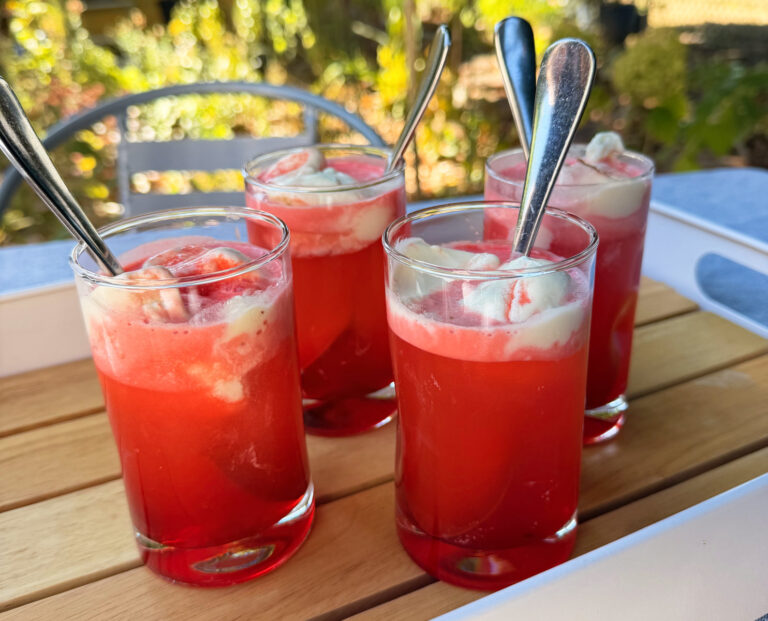 4 glasses of Chilean cocktail Terremoto