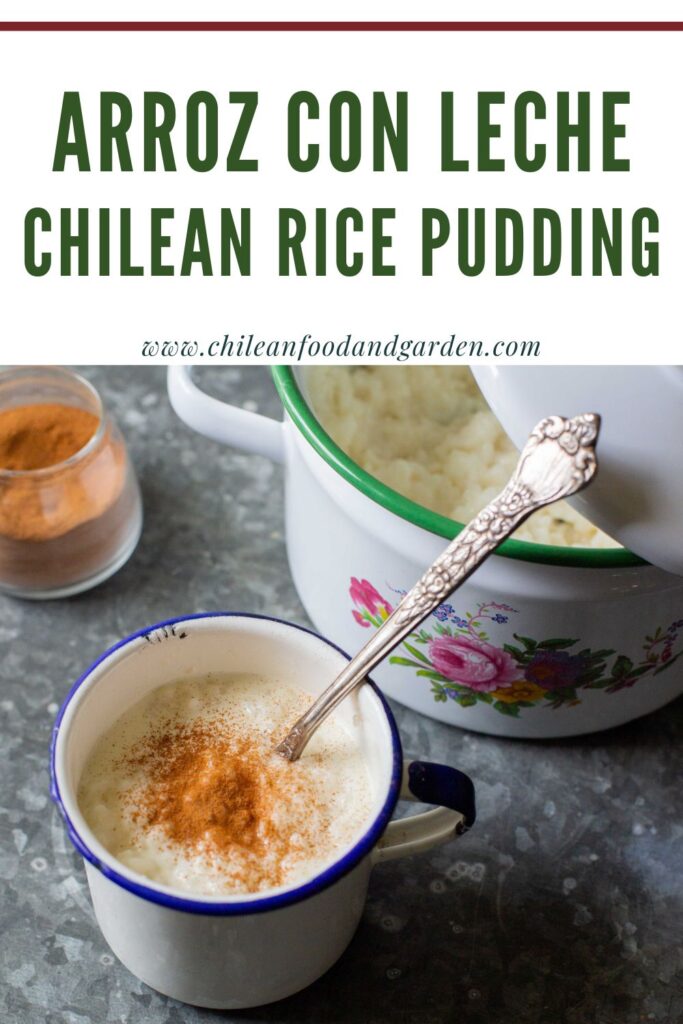 Pin for Arroz con leche Chilean Rice Pudding