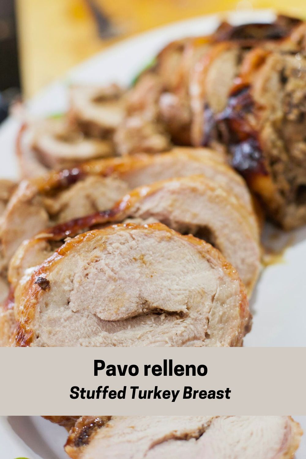 Stuffed Turkey Breast Pin