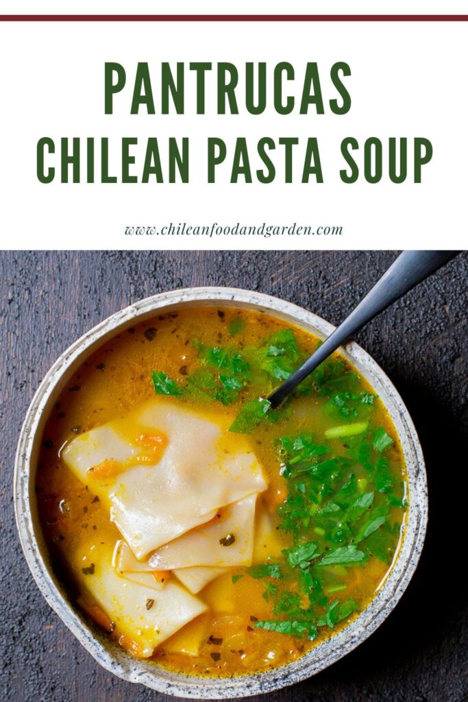 Pin for Pantrucas Chilean Pasta Soup