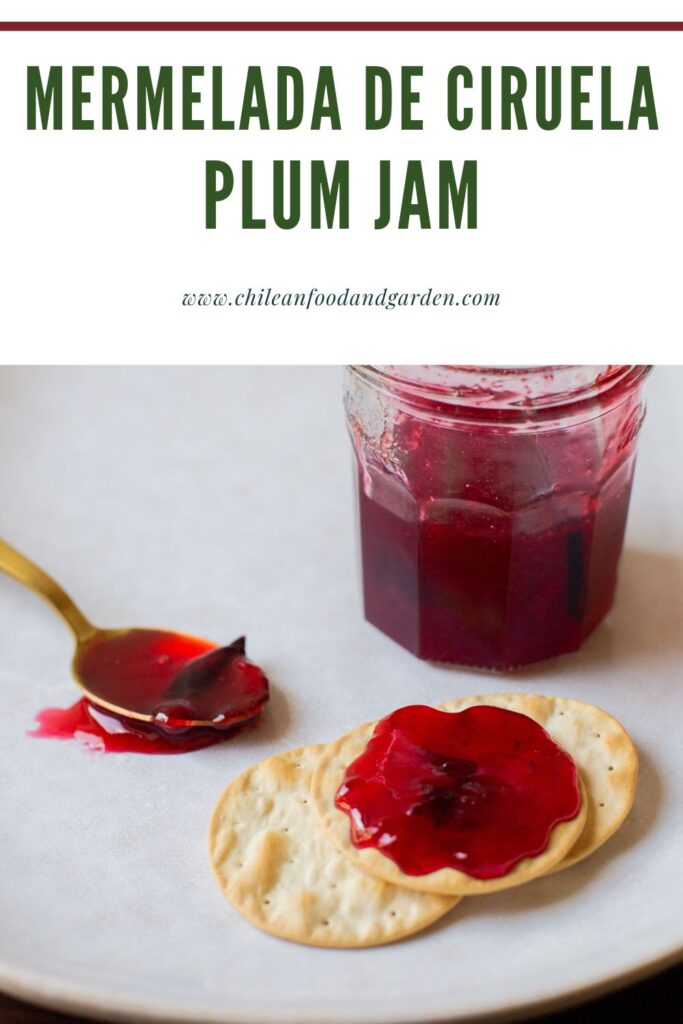 Mermelada de ciruela
Plum Jam