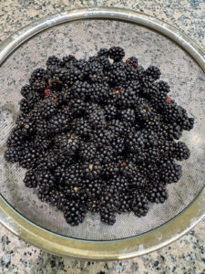 Freshly picked blackberries.