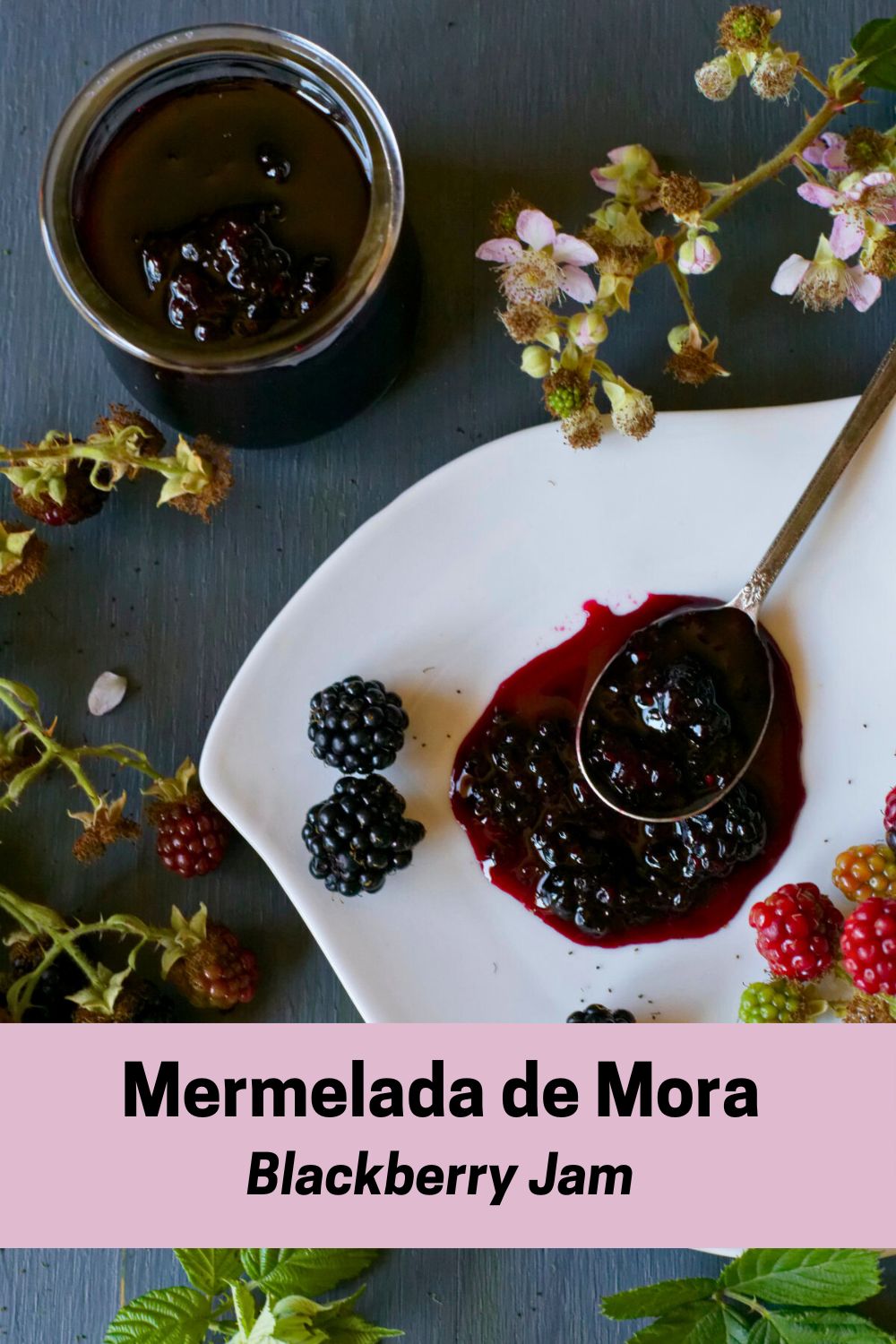 Mermelada de Mora
Blackberry Jam Pin